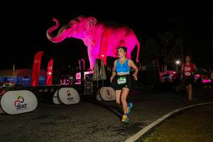 BIB: 
                            <button type="button" onclick="openModal(26534740)" class="btn btn-primary btn-sm float-right btn-popup" data-toggle="modal" data-target=".modal-high-quality">
                        <i class="fas fa-shopping-cart"></i> Add to Cart
                    </button>
                                            <button type="button" onclick="isThisMe(26534740, true)" class="btn btn-success btn-sm float-right btn-popup btn-isme hidden" data-toggle="tooltip" data-placement="bottom" title="นี่คือรูปของคุณใช่ไหม คลิกที่นี่เพื่อเอาเข้าอัลบั้ม">
                        <i class="fas fa-plus"></i> Add to album
                    </button>
                    <button type="button" onclick="isThisMe(26534740, false)" class="btn btn-warning btn-sm float-right btn-popup btn-isnotme hidden">
                        <i class="fas fa-ban"></i> Remove from album
                    </button>